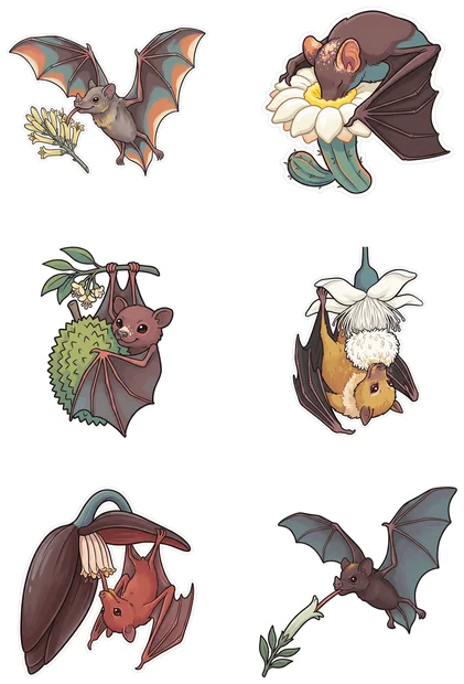 Bat