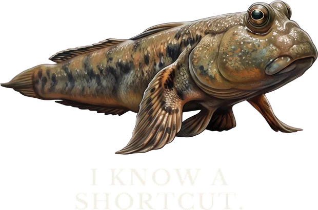 I Know A Shortcut